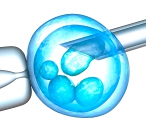 How IVF Deals with Infertility Issues