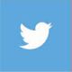 twitter-icon